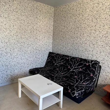 Studio Lyon Plage Apartment Lyon
